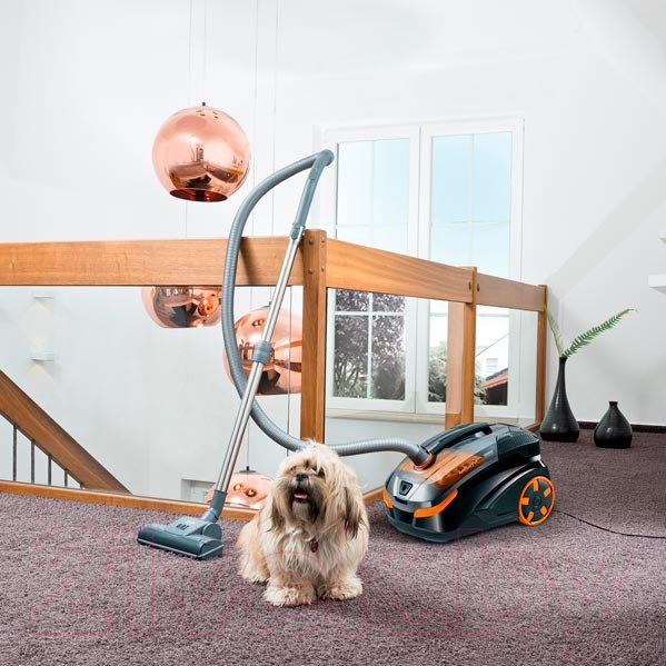 Изображение товара Пылесос Thomas DryBox Amfibia Pet (788598)