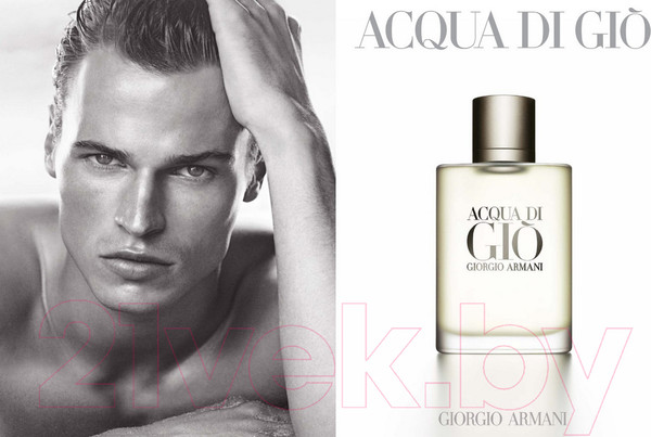 Изображение товара Туалетная вода Giorgio Armani Acqua Di Gio (100мл)