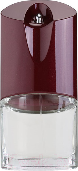 Изображение товара Туалетная вода Givenchy Pour Homme (100мл)