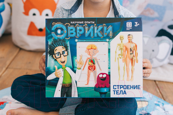 Изображение товара Набор для опытов Эврики Строение тела / 2772939
