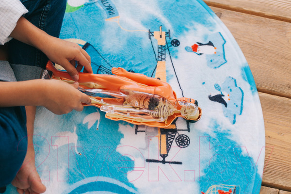 Изображение товара Набор для опытов Эврики Строение тела / 2772939