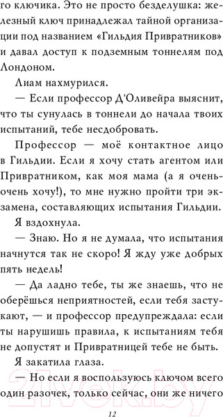 Изображение товара Книга Эксмо Тайна привратников (Джонс Л.)