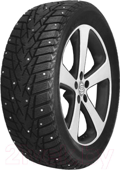 Изображение товара Зимняя шина DoubleStar DW01 195/65R15 91T (шипы)
