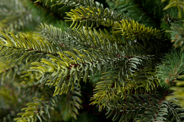 Изображение товара Ель искусственная GreenTerra Кашемир F (1.8м)