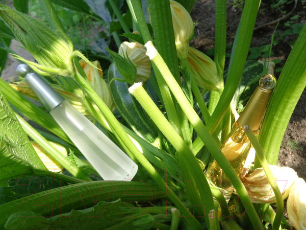 Изображение товара Туалетная вода Issey Miyake L'Eau D'Issey (50мл)