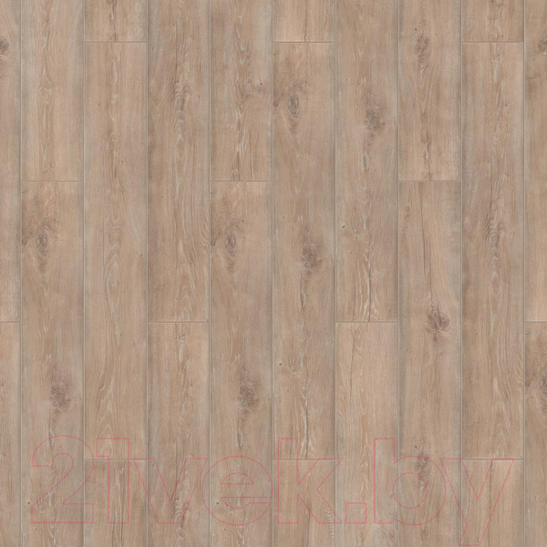 Изображение товара Ламинат Tarkett Поэм 1033 Гете