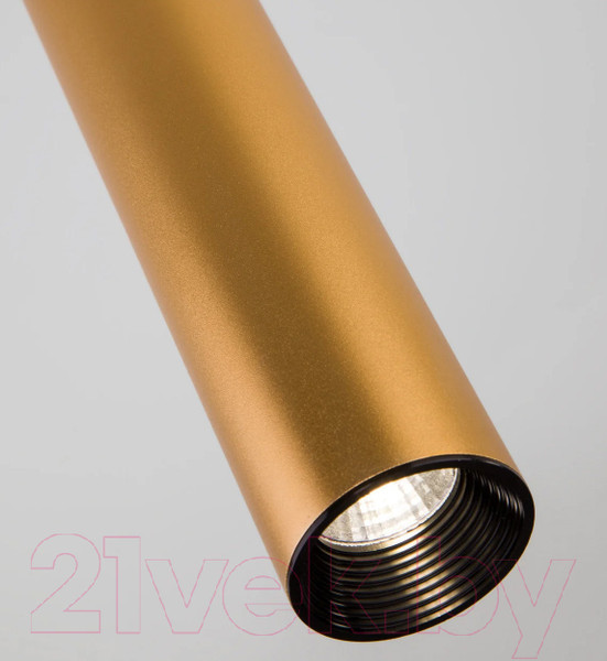 Изображение товара Потолочный светильник Elektrostandard 50161/1