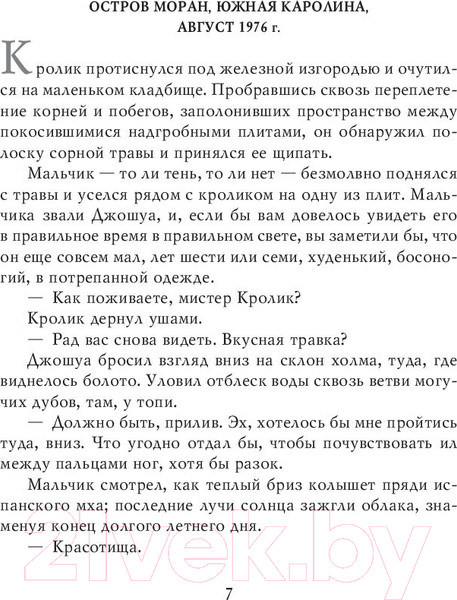 Изображение товара Книга АСТ Потерянные боги (Бром Д.)