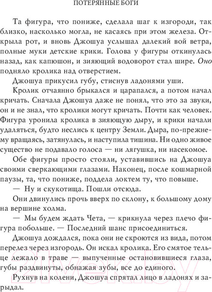 Изображение товара Книга АСТ Потерянные боги (Бром Д.)