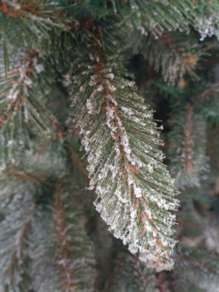 Изображение товара Ель искусственная GreenTerra Ариозо (2.2м)