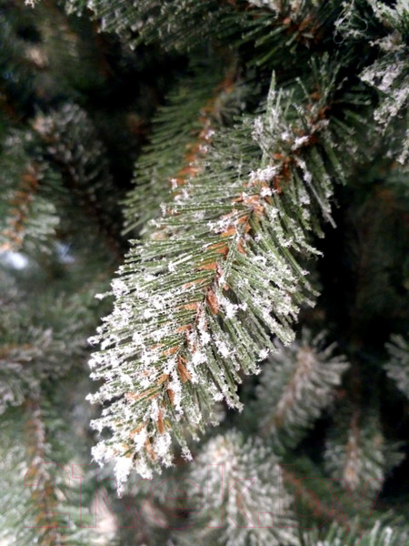 Изображение товара Ель искусственная GreenTerra Ариозо (2.2м)
