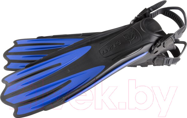 Изображение товара Ласты IST Sports FP01B-M (черный/синий)