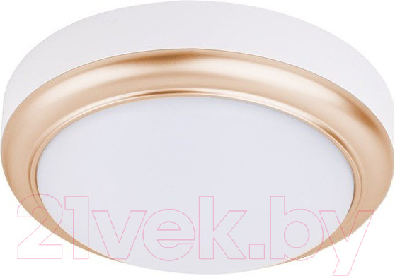 Изображение товара Потолочный светильник TDM SQ0354-0018