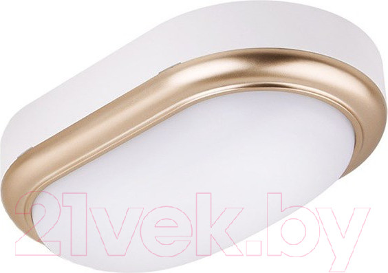 Изображение товара Потолочный светильник TDM SQ0354-0016