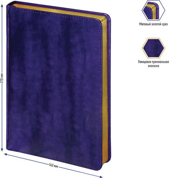 Изображение товара Ежедневник Berlingo xGold UD0 81507 (160л, фиолетовый)