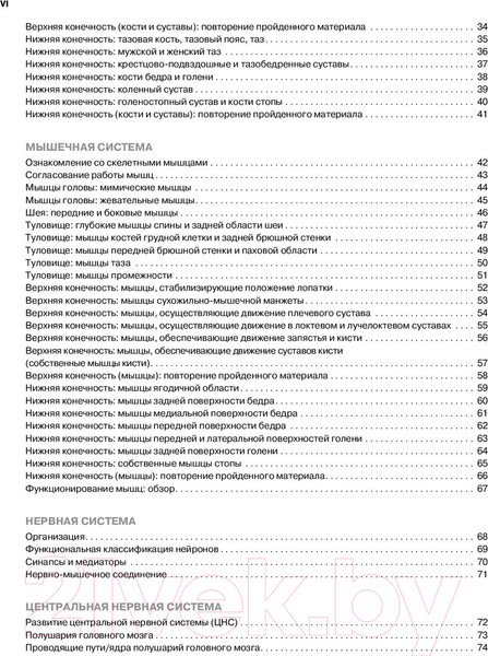 Изображение товара Книга Эксмо Анатомия человека (Кэпит У., Элсон Л.)