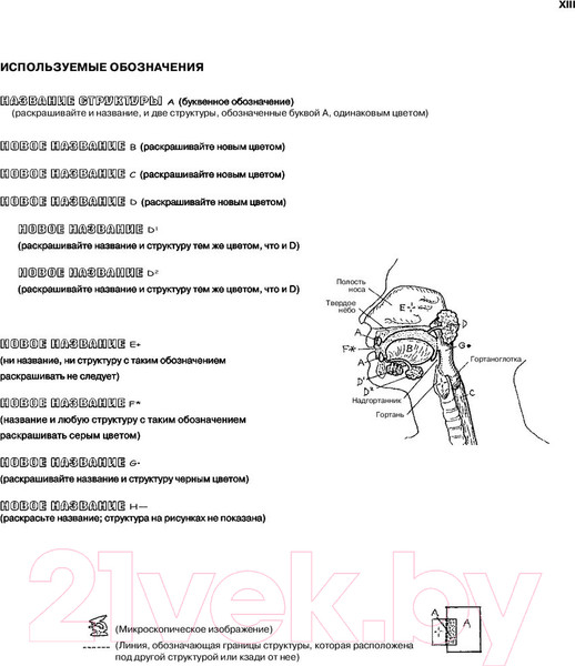 Изображение товара Книга Эксмо Анатомия человека (Кэпит У., Элсон Л.)