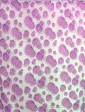 Изображение товара Шторка-занавеска для ванны Miranda Side Lila