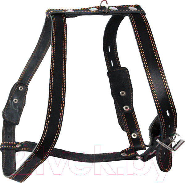 Изображение товара Шлея Gamma 11332005