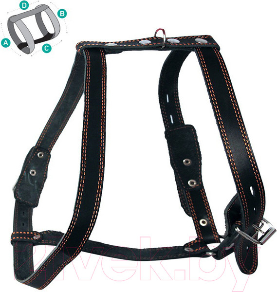 Изображение товара Шлея Gamma 11332005