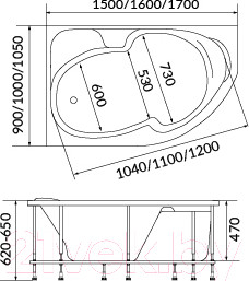 Изображение товара Ванна акриловая 1Марка Diana 170x105 L