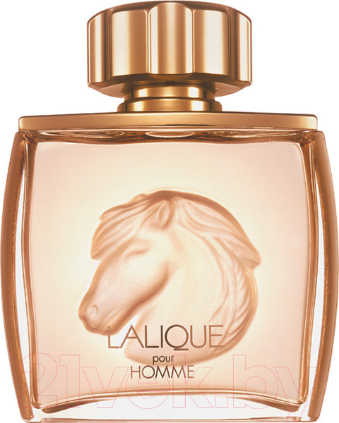 Изображение товара Парфюмерная вода Lalique Equus (75мл)