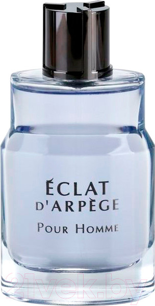 Изображение товара Туалетная вода Lanvin Eclat D`Arpege Pour Homme (50мл)