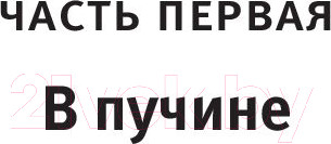 Изображение товара Книга АСТ Исчезновение Стефани Мейлер (Диккер Ж.)
