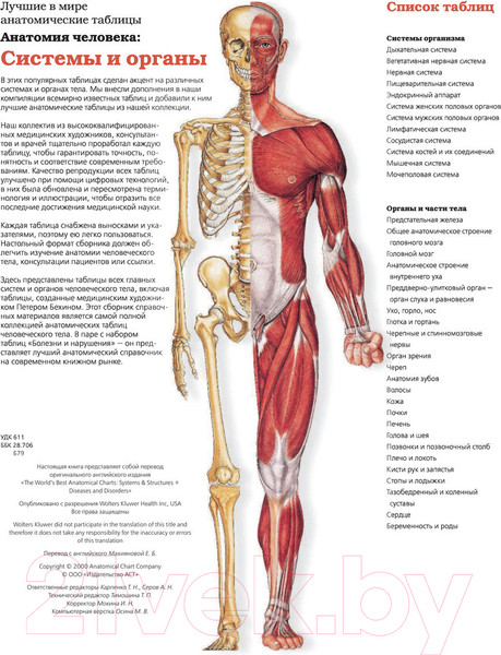 Изображение товара Книга АСТ Большой атлас анатомии человека (Махиянова Е.)