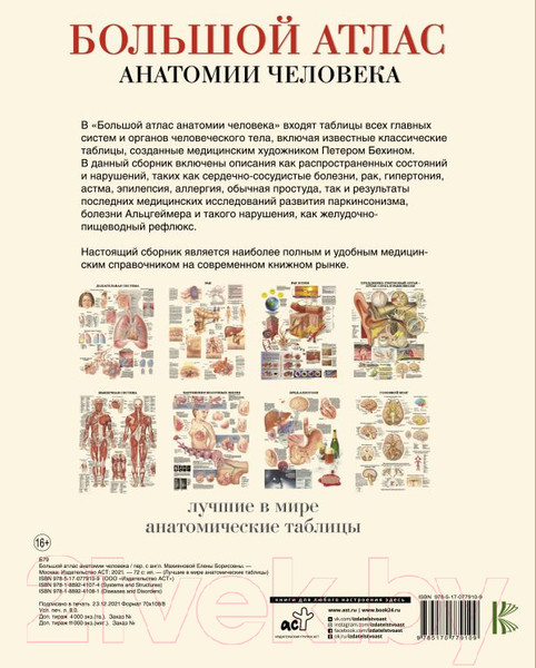 Изображение товара Книга АСТ Большой атлас анатомии человека (Махиянова Е.)