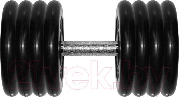 Изображение товара Гантель MB Barbell Профи 41кг