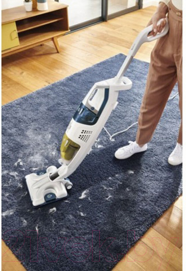 Изображение товара Вертикальный пылесос Tefal VP8561RH