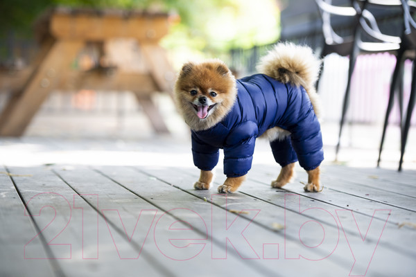 Изображение товара Комбинезон для животных Puppia Jumpesuit А / PAPD-JM1672-NY-S (синий)