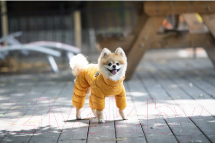 Изображение товара Комбинезон для животных Puppia Jumpesuit А / PAPD-JM1672-MS-XL (горчичный)