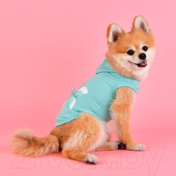 Изображение товара Футболка для животных Pinkaholic Azalea / NATA-TS7566-MT-L (зеленый)