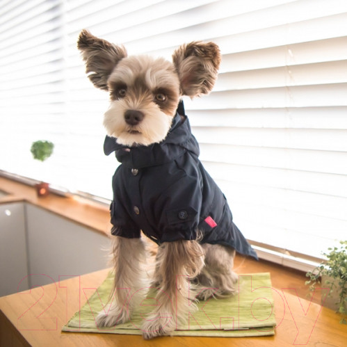 Изображение товара Дождевик для животных Pinkaholic Claris / NARA-RM7321-NY-XL (синий)