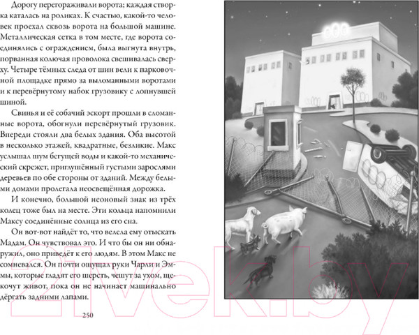 Изображение товара Книга Азбука Верные. Тайна трех колец. Книга 2 (Холт К.)