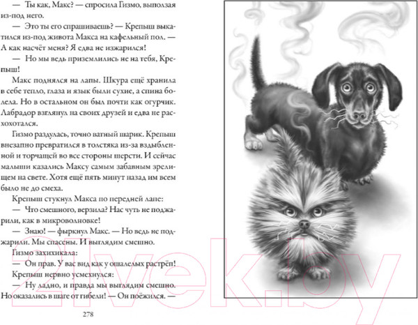 Изображение товара Книга Азбука Верные. Тайна трех колец. Книга 2 (Холт К.)