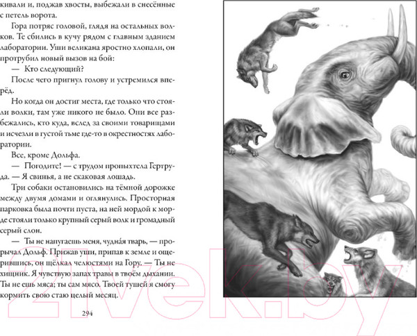 Изображение товара Книга Азбука Верные. Тайна трех колец. Книга 2 (Холт К.)