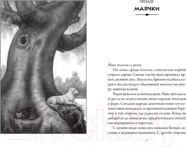 Изображение товара Книга Азбука Верные. Дорога чудес и невзгод. Книга 3 (Холт К.)