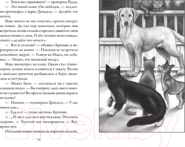 Изображение товара Книга Азбука Верные. Дорога чудес и невзгод. Книга 3 (Холт К.)