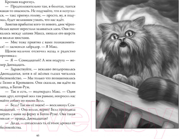 Изображение товара Книга Азбука Верные. Дорога чудес и невзгод. Книга 3 (Холт К.)