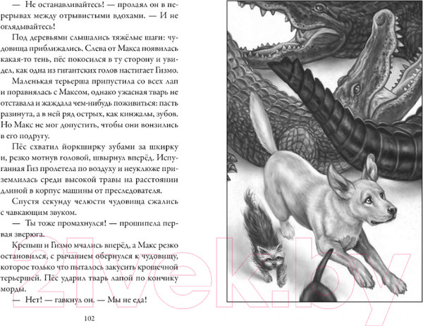 Изображение товара Книга Азбука Верные. Дорога чудес и невзгод. Книга 3 (Холт К.)
