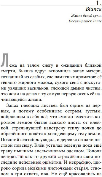 Изображение товара Книга Эксмо Bianca (Лиханов Д.)