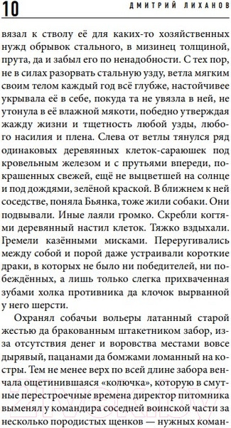 Изображение товара Книга Эксмо Bianca (Лиханов Д.)