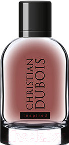 Изображение товара Туалетная вода Dilis Parfum Christian Dubois Inspired for Men (100мл)