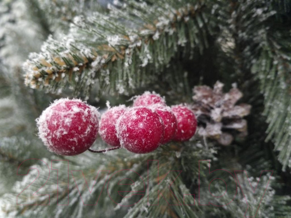 Изображение товара Ель искусственная GreenTerra Ариозо (1.8м)