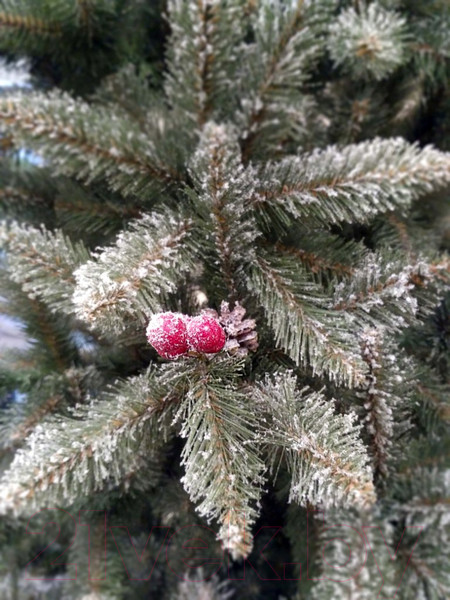 Изображение товара Ель искусственная GreenTerra Ариозо (1.8м)