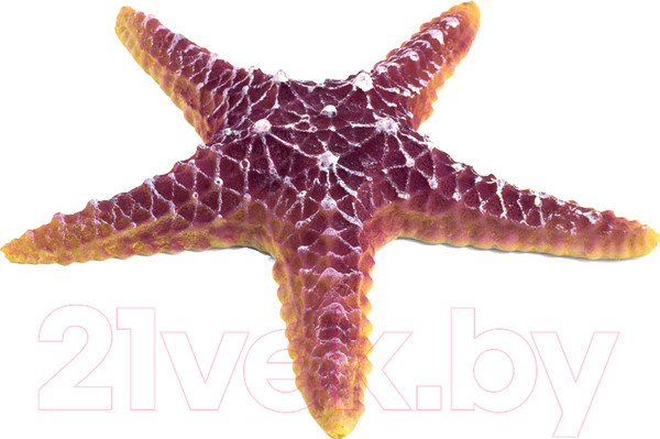 Изображение товара Декорация для аквариума Laguna Морская звезда / 74004166