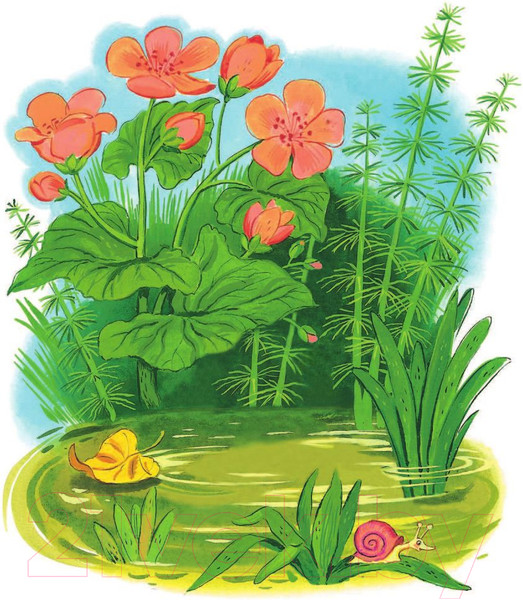 Изображение товара Книга АСТ Все сказки Корнея Чуковского (Чуковский К.)